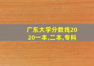 广东大学分数线2020一本,二本,专科