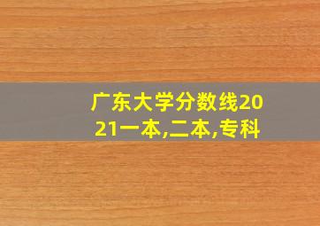 广东大学分数线2021一本,二本,专科