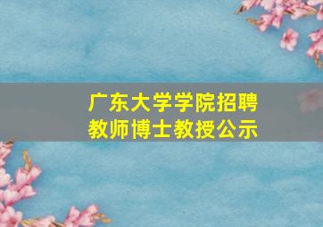 广东大学学院招聘教师博士教授公示