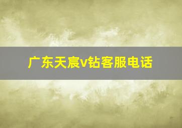 广东天宸v钻客服电话