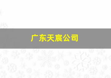 广东天宸公司