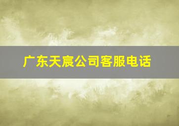 广东天宸公司客服电话