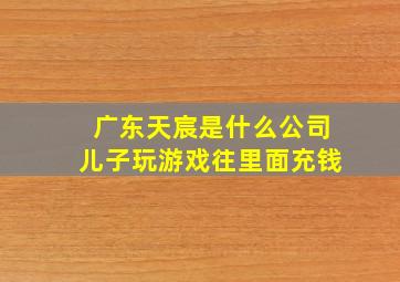 广东天宸是什么公司儿子玩游戏往里面充钱