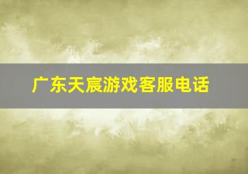 广东天宸游戏客服电话