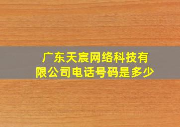 广东天宸网络科技有限公司电话号码是多少