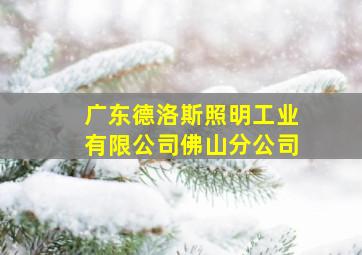 广东德洛斯照明工业有限公司佛山分公司