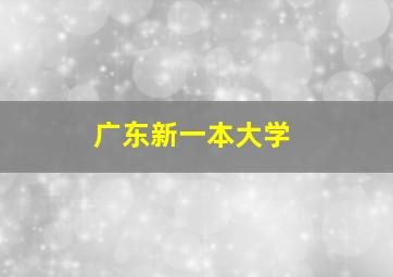 广东新一本大学