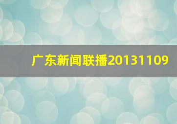 广东新闻联播20131109