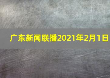 广东新闻联播2021年2月1日