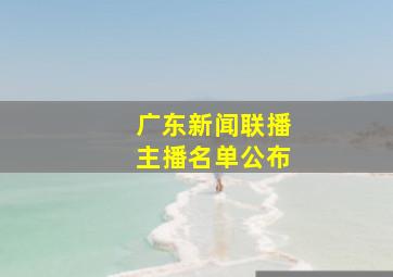 广东新闻联播主播名单公布