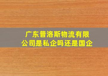 广东普洛斯物流有限公司是私企吗还是国企