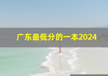 广东最低分的一本2024