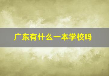 广东有什么一本学校吗