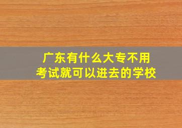 广东有什么大专不用考试就可以进去的学校