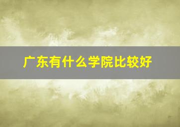 广东有什么学院比较好