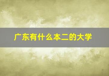 广东有什么本二的大学