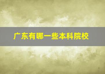 广东有哪一些本科院校