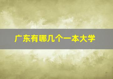 广东有哪几个一本大学