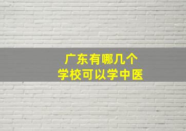 广东有哪几个学校可以学中医