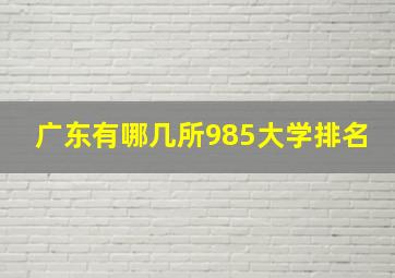 广东有哪几所985大学排名