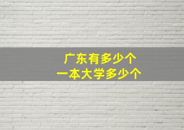 广东有多少个一本大学多少个