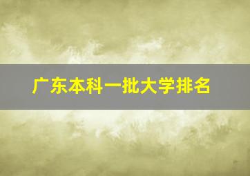 广东本科一批大学排名