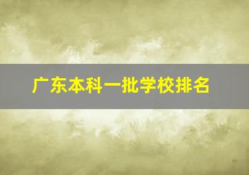 广东本科一批学校排名