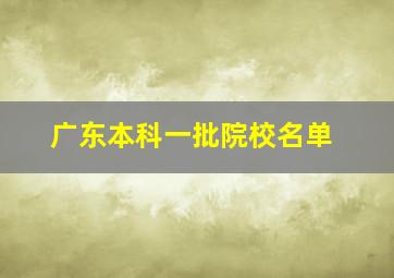 广东本科一批院校名单