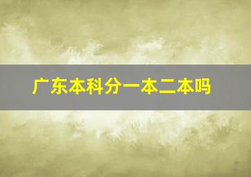 广东本科分一本二本吗