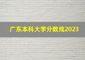 广东本科大学分数线2023