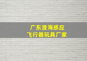 广东澄海感应飞行器玩具厂家