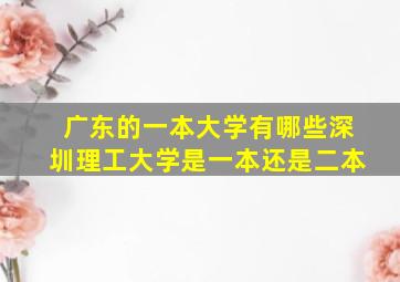 广东的一本大学有哪些深圳理工大学是一本还是二本