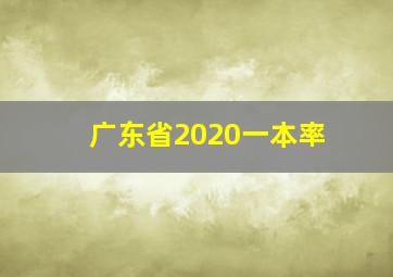 广东省2020一本率