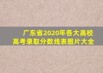 广东省2020年各大高校高考录取分数线表图片大全