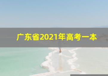 广东省2021年高考一本