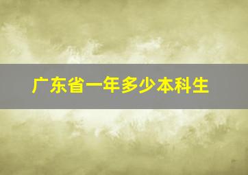 广东省一年多少本科生