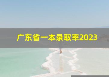 广东省一本录取率2023