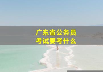 广东省公务员考试要考什么