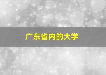 广东省内的大学