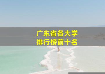 广东省各大学排行榜前十名