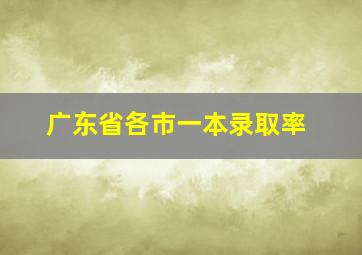 广东省各市一本录取率