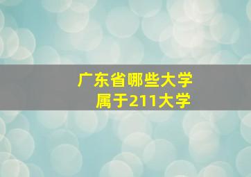 广东省哪些大学属于211大学