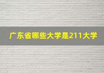 广东省哪些大学是211大学