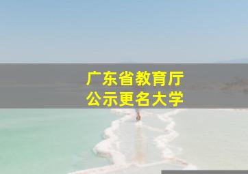 广东省教育厅公示更名大学