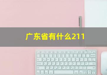 广东省有什么211