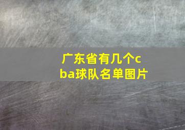 广东省有几个cba球队名单图片