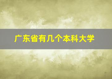 广东省有几个本科大学