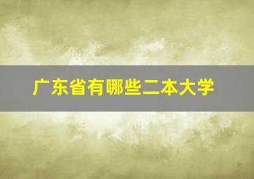 广东省有哪些二本大学