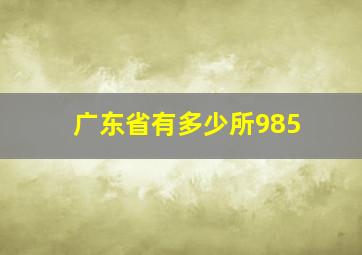 广东省有多少所985