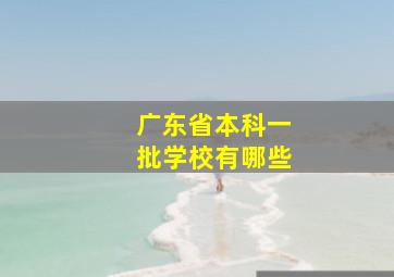 广东省本科一批学校有哪些